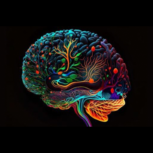 Brain Spotting